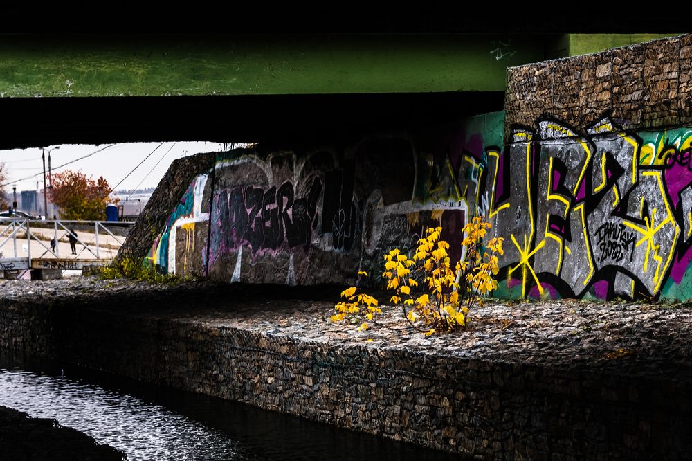 Photograph by Евгений Моляшов