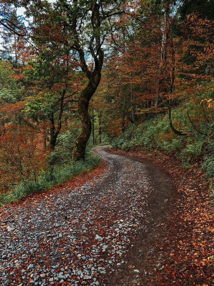 Photograph by Наталья Посашко