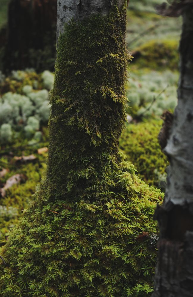 Photograph by Екатерина Михеева