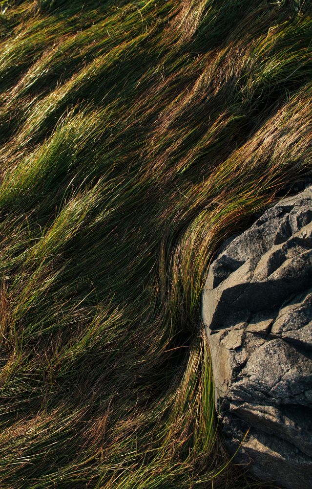 Photograph by Екатерина Михеева