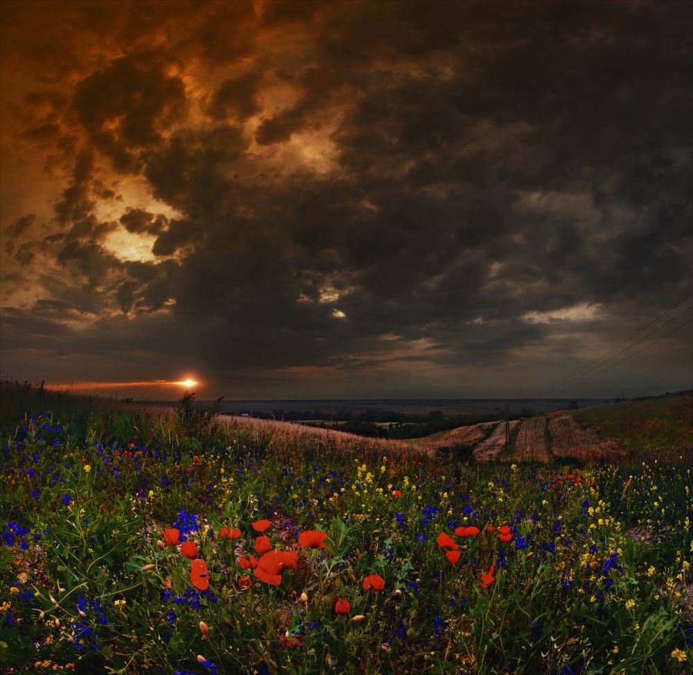 Photograph by Владимир