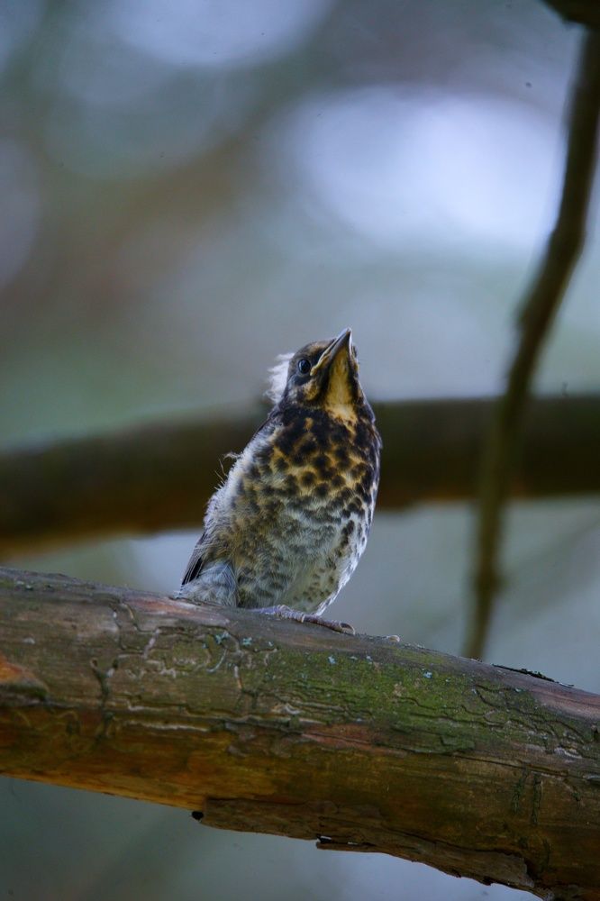 Photograph by Вячеслав Ригачин