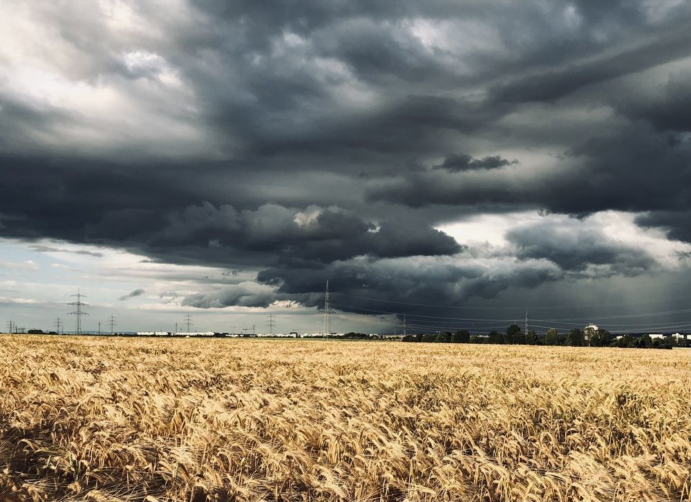 Photograph by Наталья Посашко