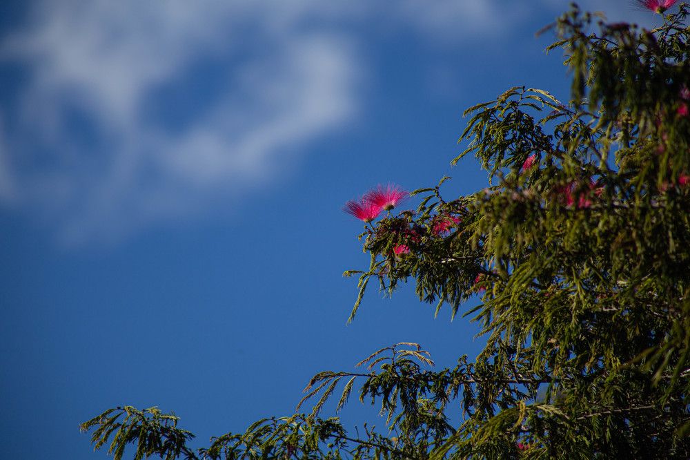 Photograph by Luis Manuel Jiménez Tabares