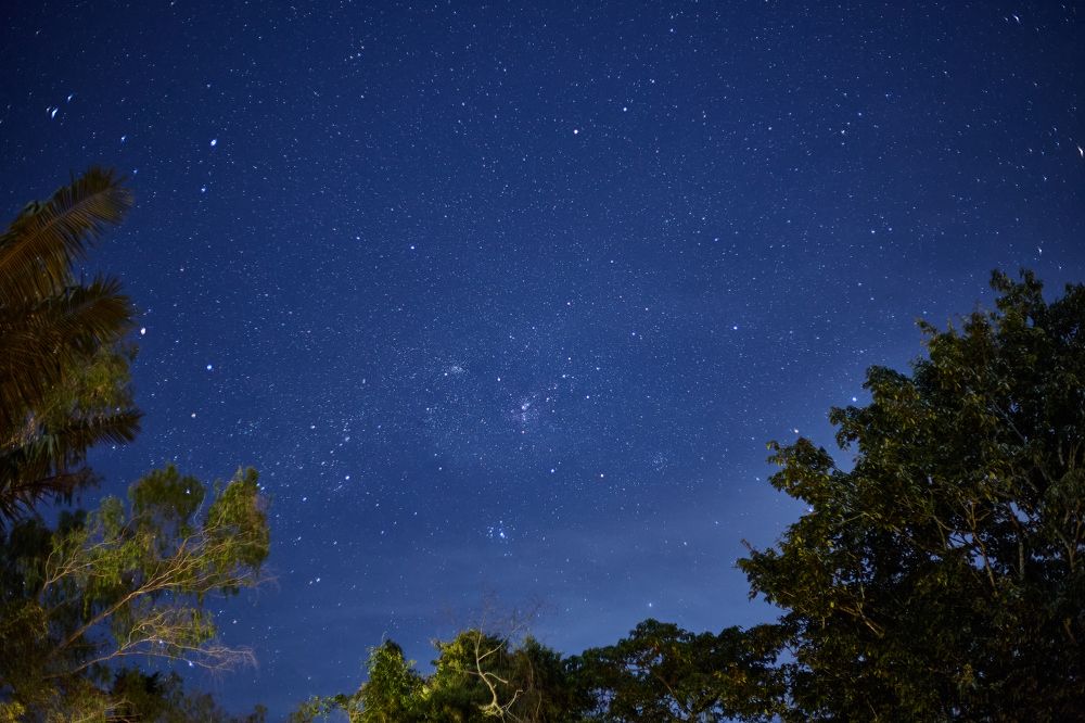 Photograph by Luis Manuel Jiménez Tabares