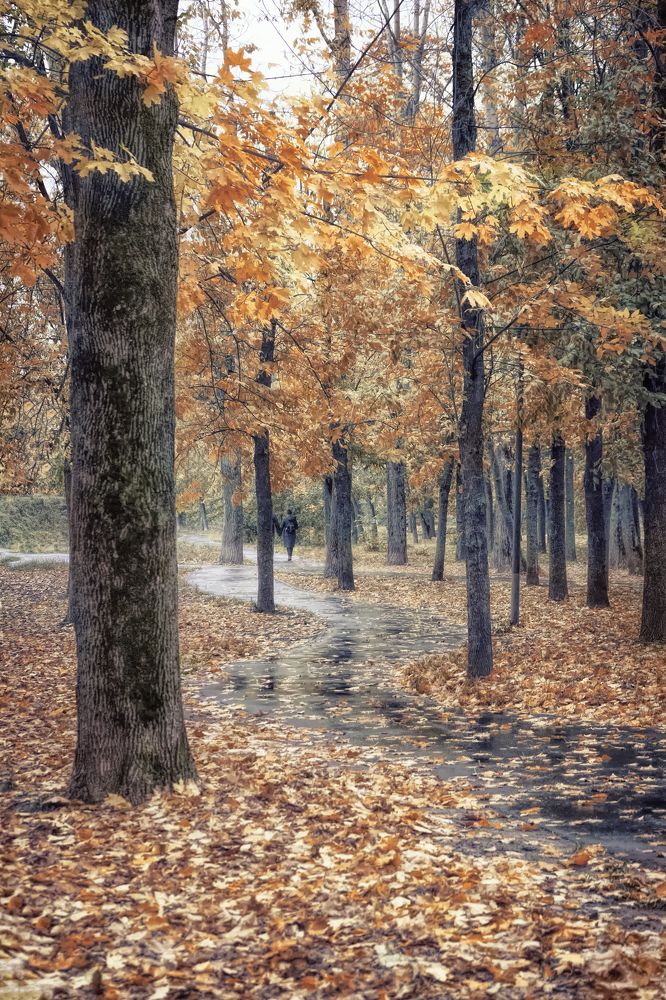 Photograph by Лидия