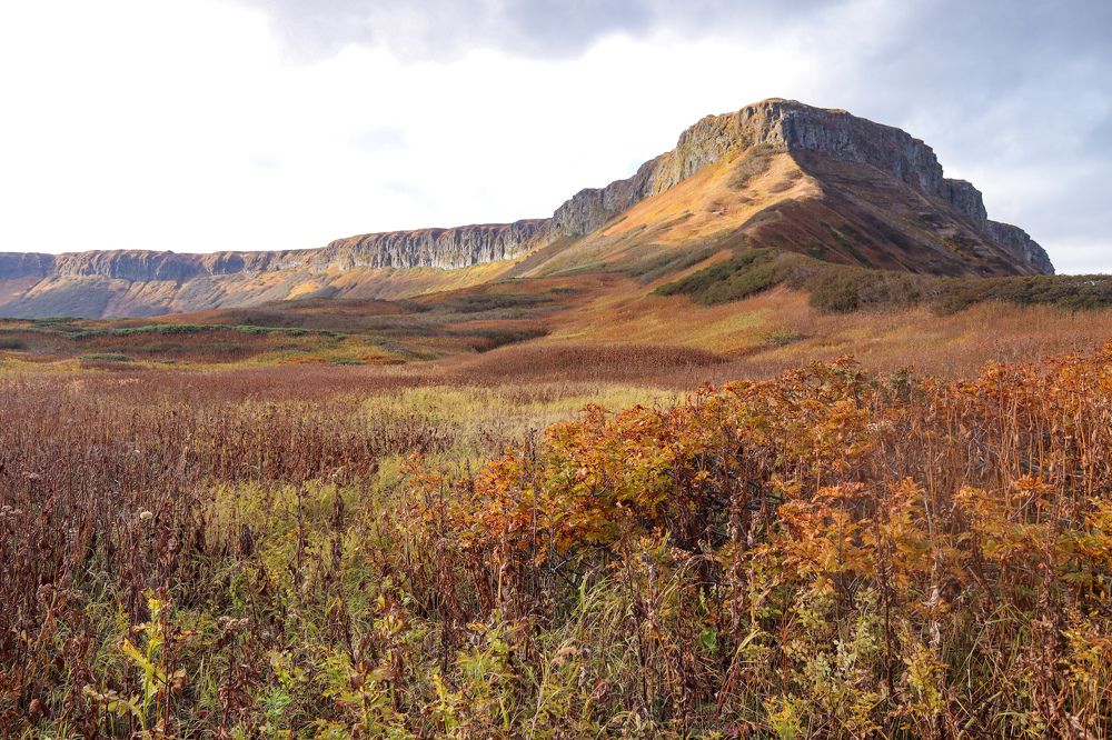 Photograph by Елена Котенко