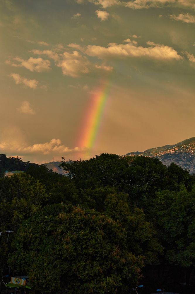 Photograph by Luis Manuel Jiménez Tabares