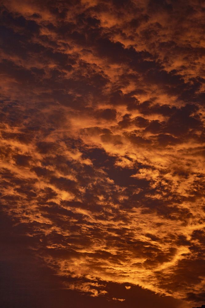 Photograph by Luis Manuel Jiménez Tabares