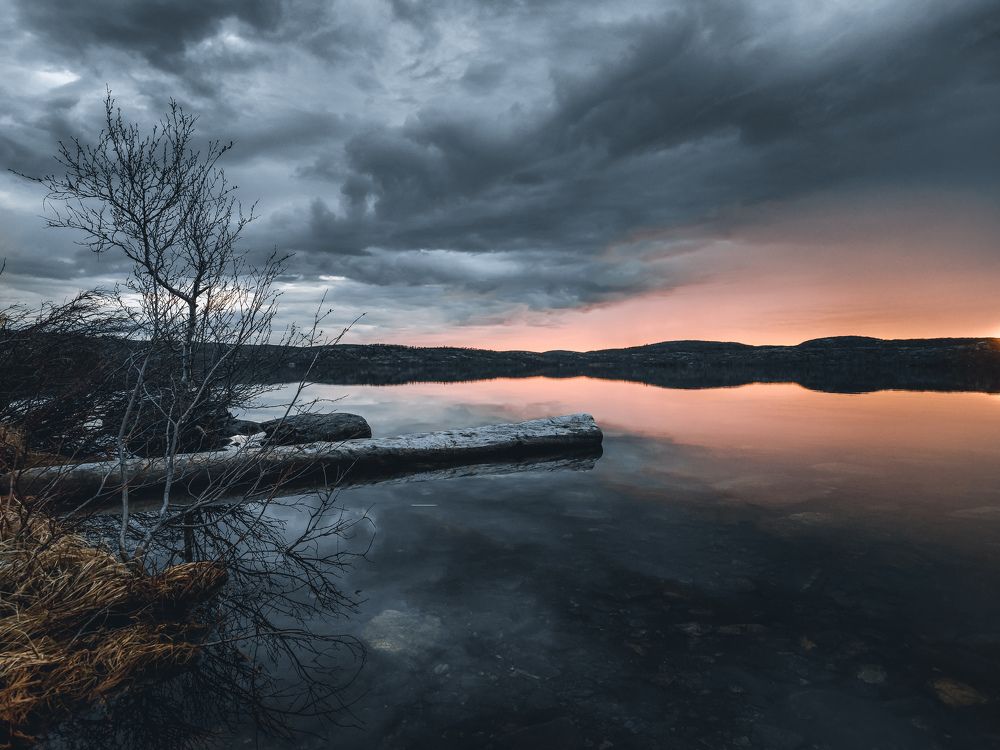 Photograph by Галина Андреева