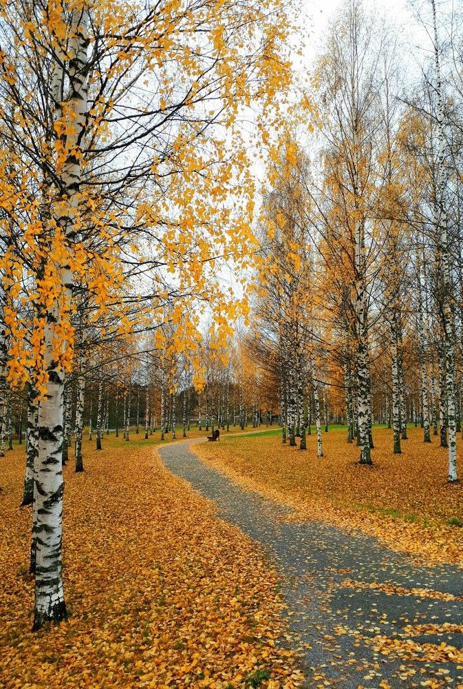 Photograph by Надежда Кудрявцева