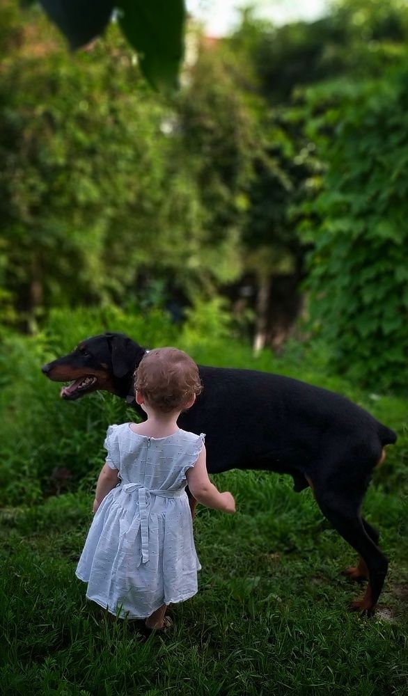 Photograph by Буланцев Ольга Борисовна