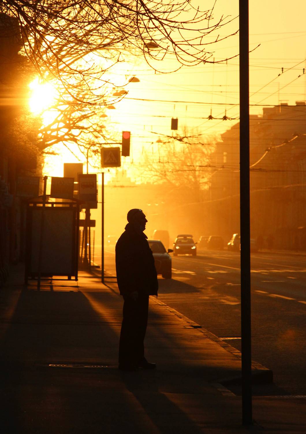 Photo #8171758