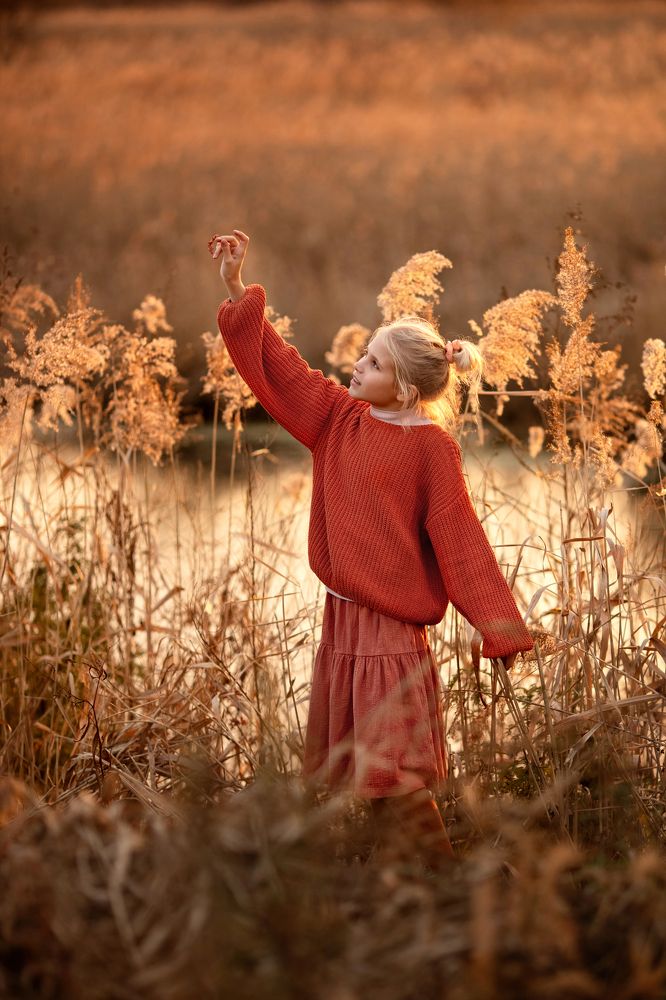 Photograph by СВЕТЛАНА Шаповаленко