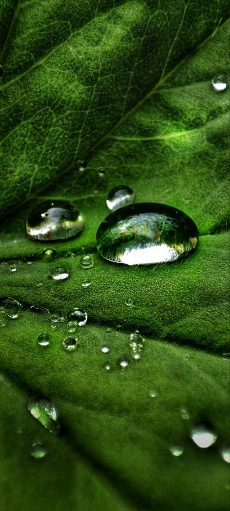 Photograph by Нина Иоселиани
