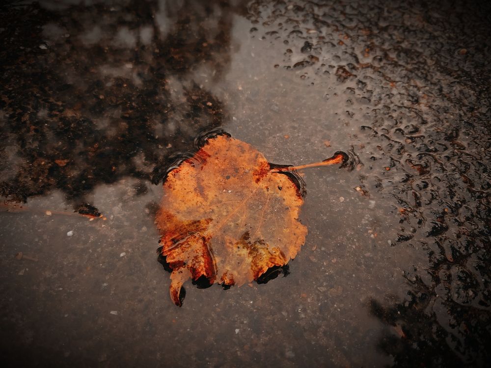 Photograph by Ирина Половцева