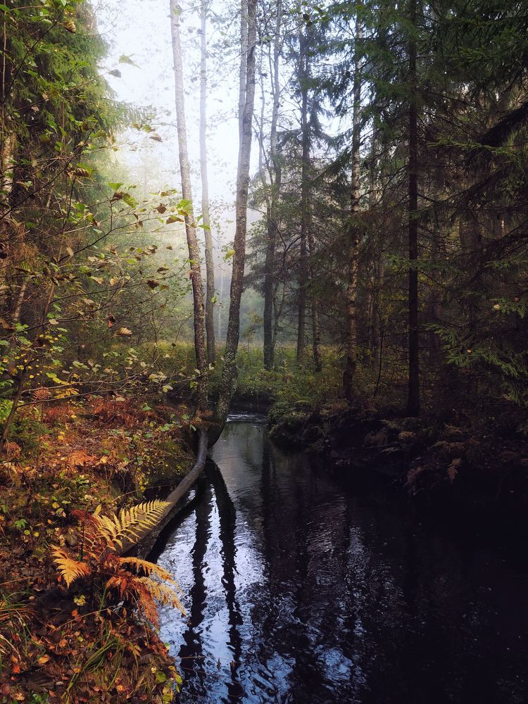 Photograph by Дмитрий Шамин