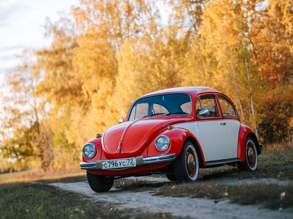 Photograph by Евгений Бушуев