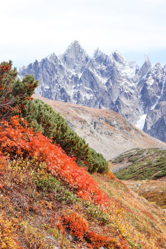 Photograph by Елена Котенко