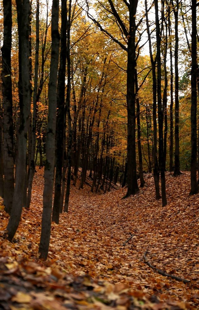 Photograph by Просолович Наталия Евгеньевна