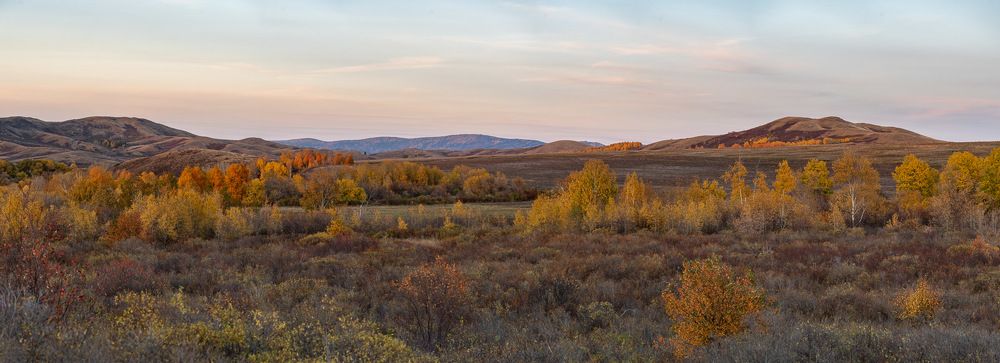 Photograph by Ирина Яук