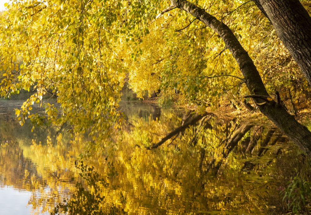 Photograph by Илюшечкина Екатерина