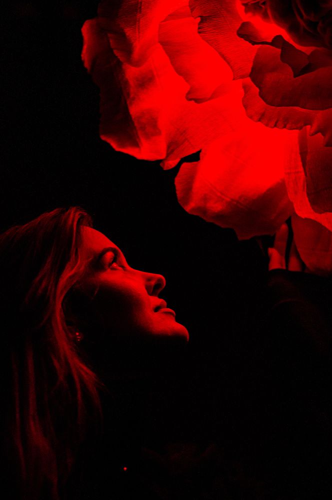 Photograph by Сергей Герасимов