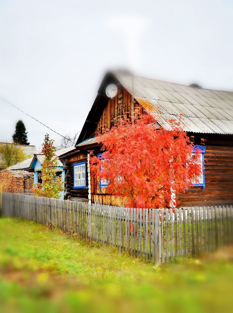 Photograph by Галина Карманова