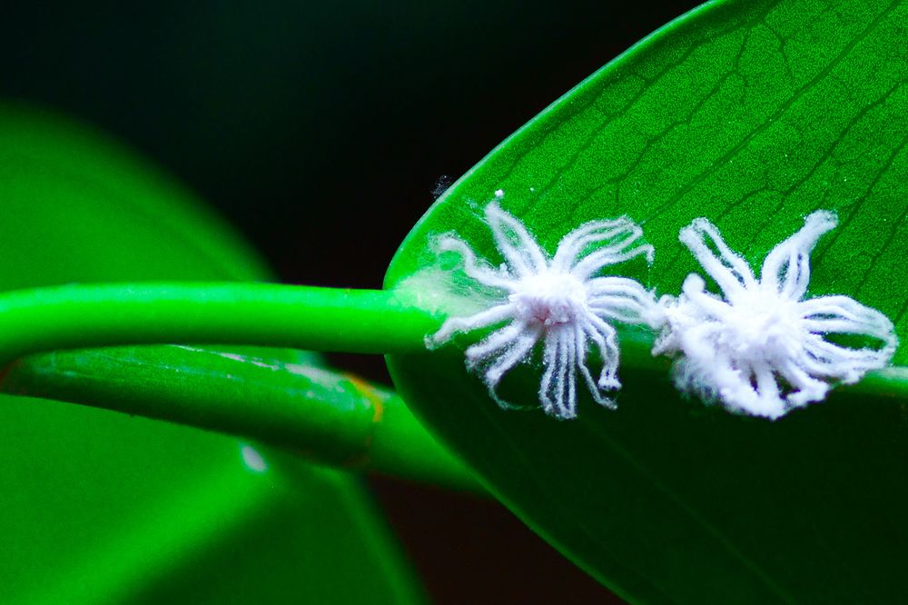 Photograph by Sunshine Mae Guillermo