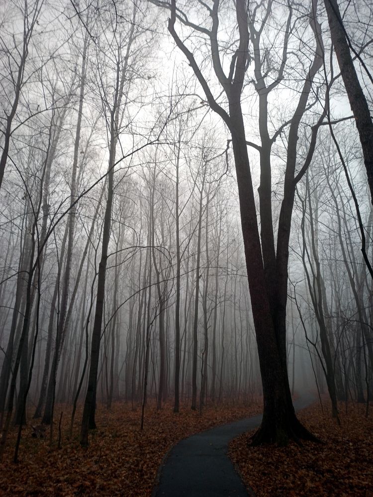 Photograph by Eлена Смирнова