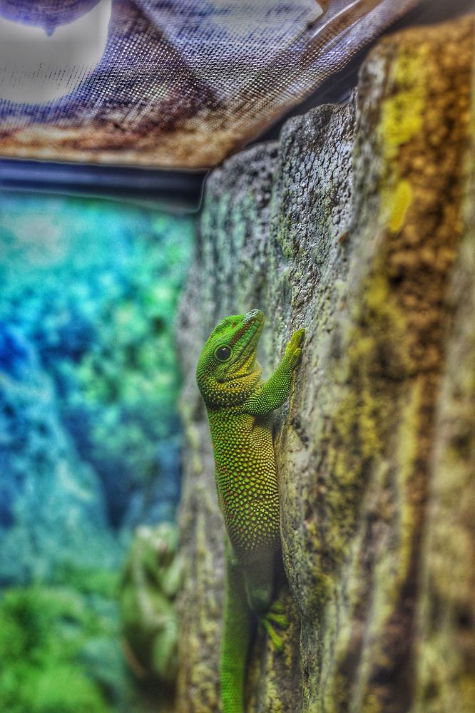 Photograph by Дмитрий Кононенко