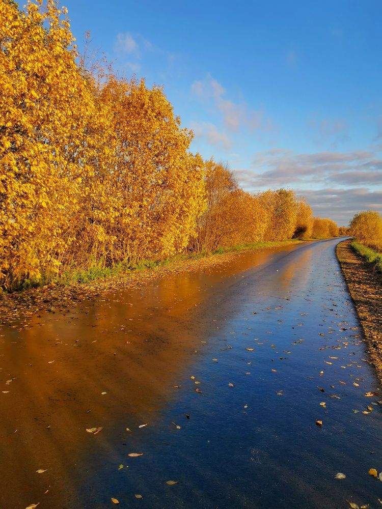Фотография автора Андрей Шестаков
