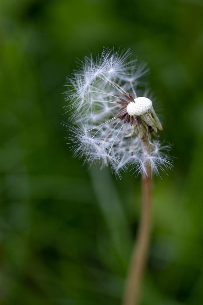 Photograph by Наталья Федорова