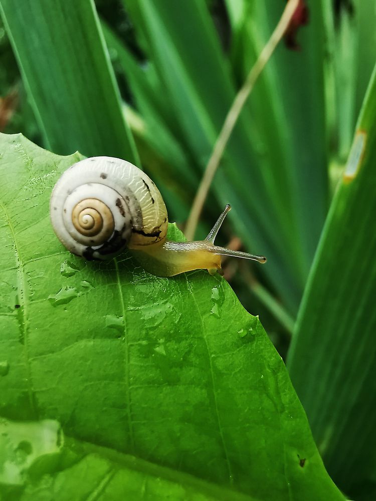 Photograph by Irina Tischer