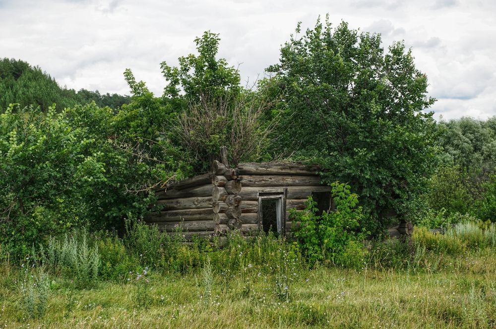 Мертвый дом