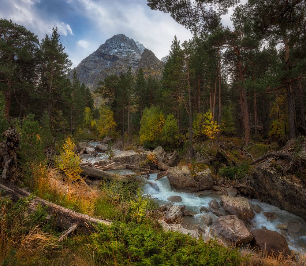 Photograph by Кахарова Наргиза