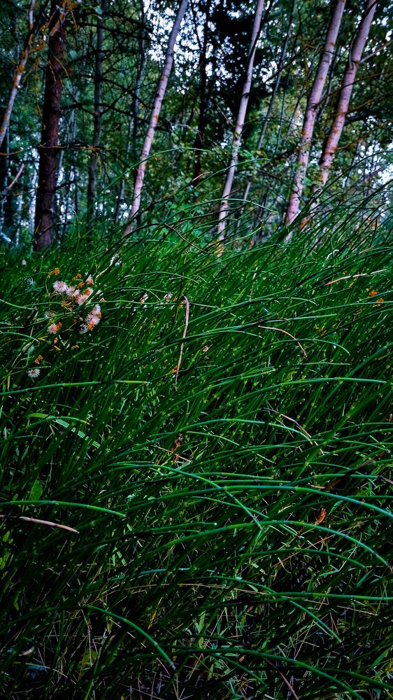 Фотография автора Всеволод Юрша