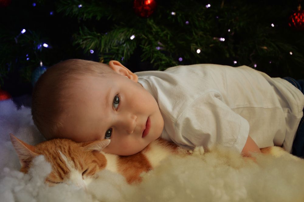 Photograph by Светлана