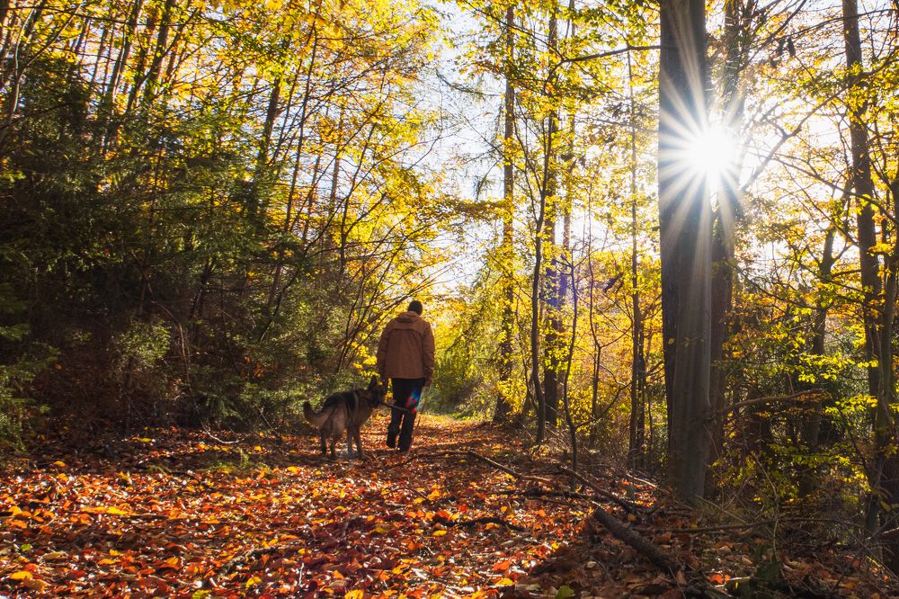 Photograph by Iuliia Kuznetcova