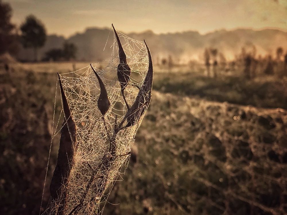 Photograph by Юлия Зырина