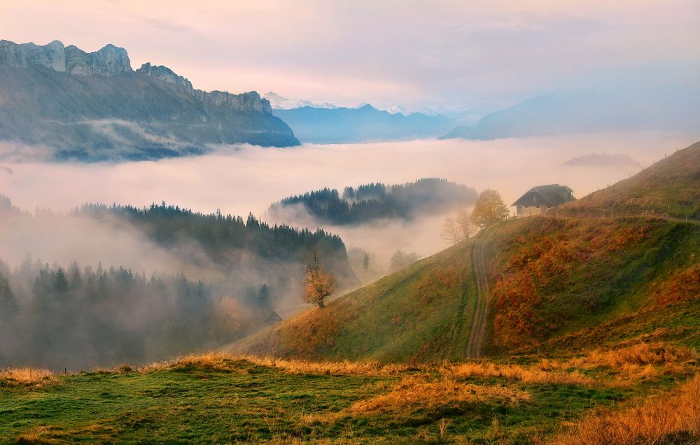 Photograph by Elena Wymann