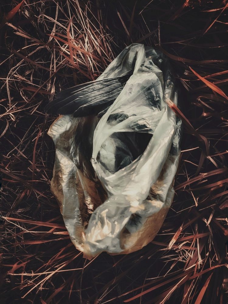 Photograph by Элеонора Белоусова