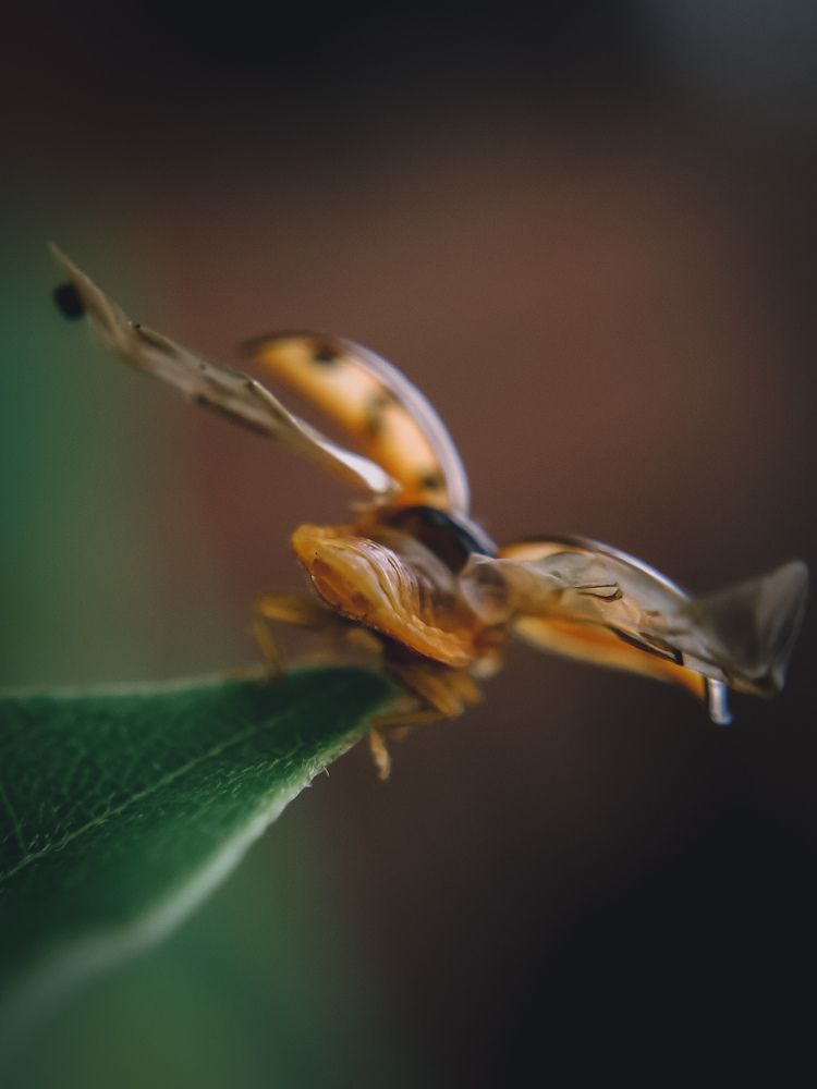 Photograph by Ashiq P F Mohammed