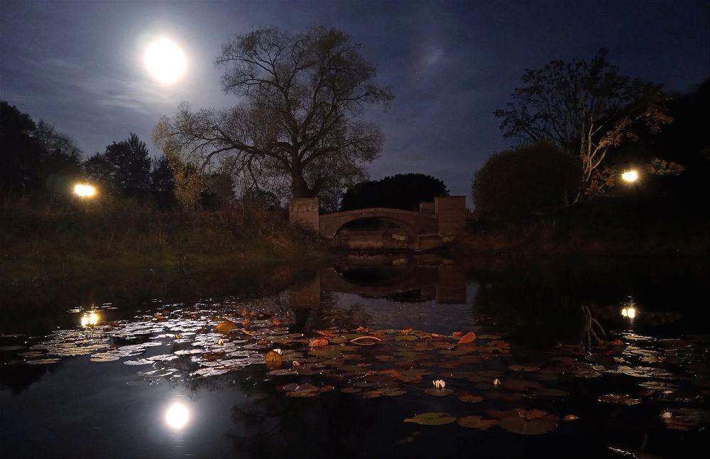 Photograph by Юрий Яковлев