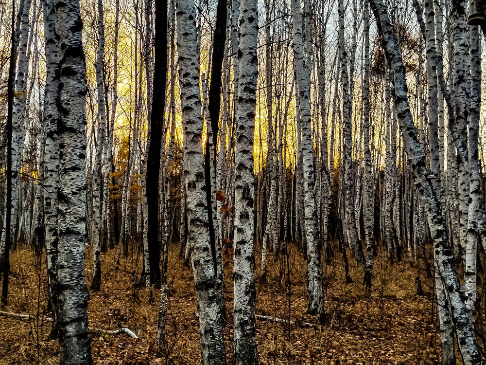 Photograph by Алексей Егоров