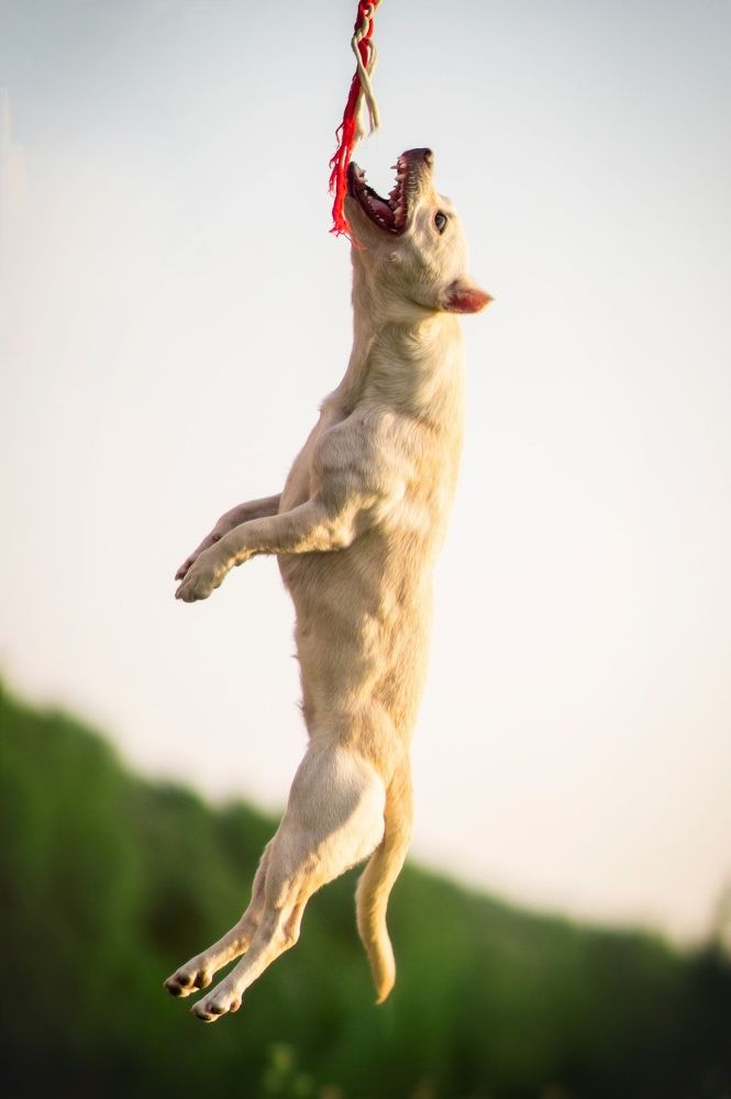 Photograph by Ангелина Ледовская