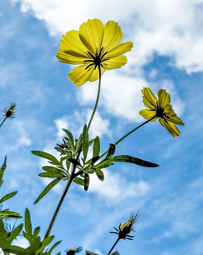 Photograph by Ashiq P F Mohammed