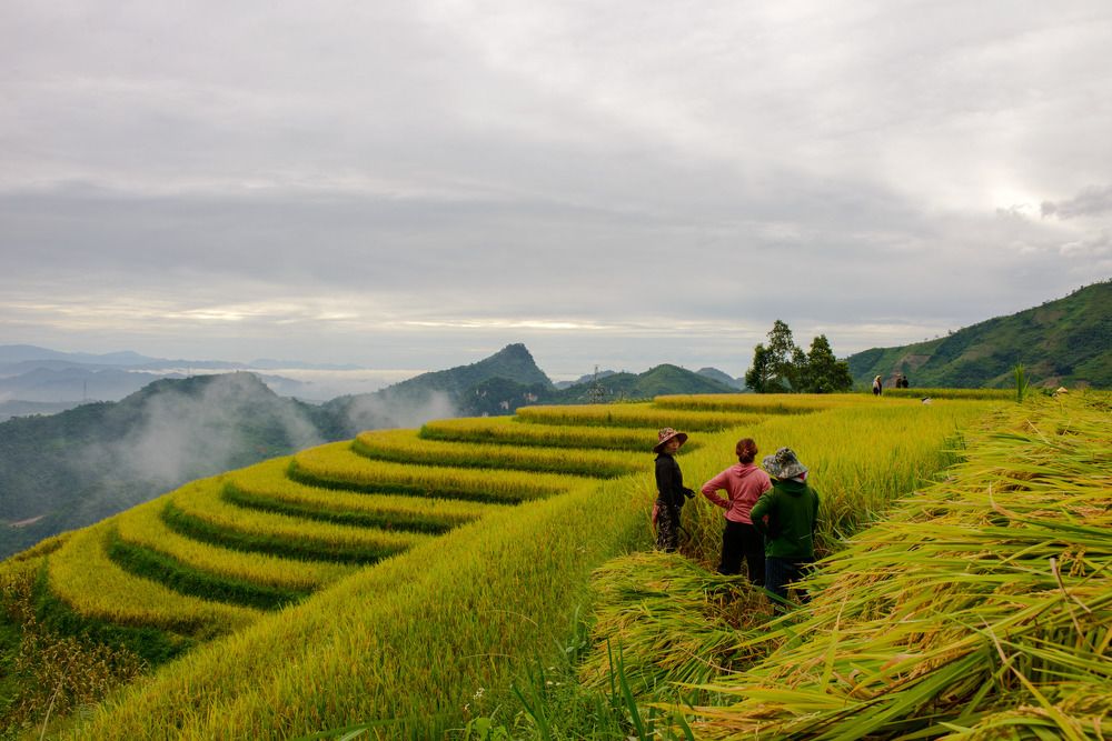 Фотография автора Trần Minh Thìn