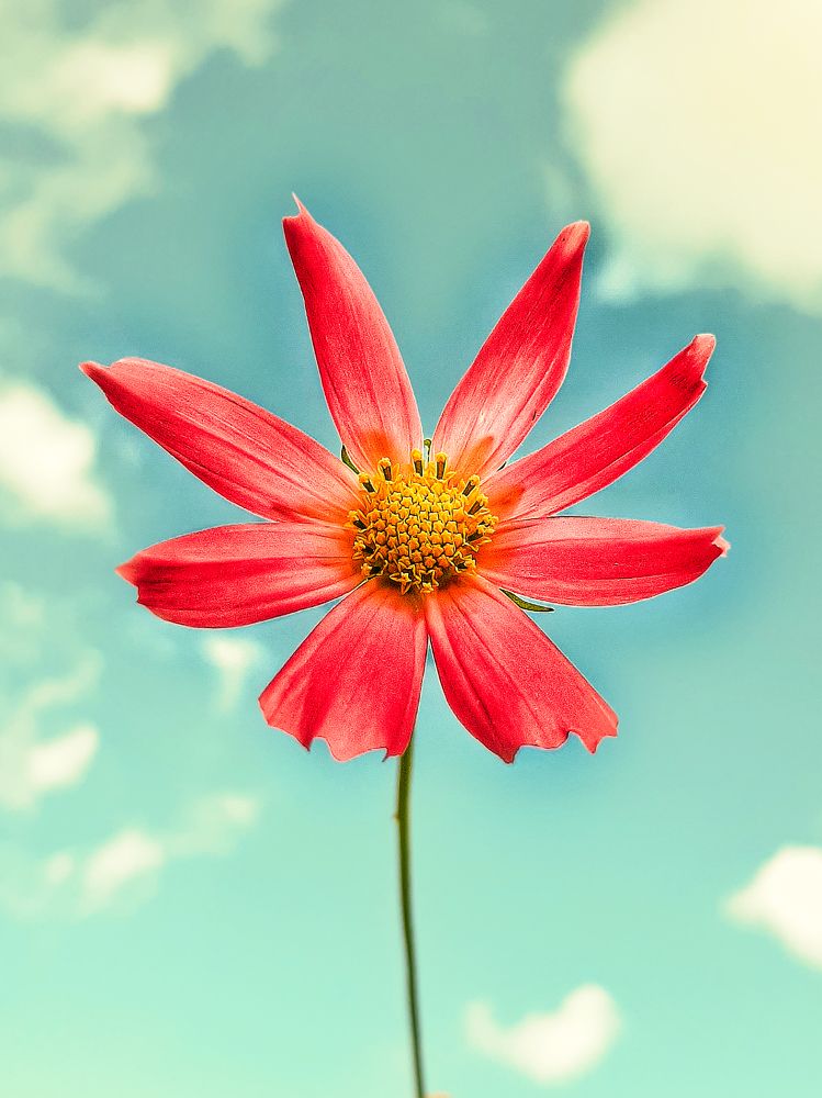 Photograph by Оксана Борисевич