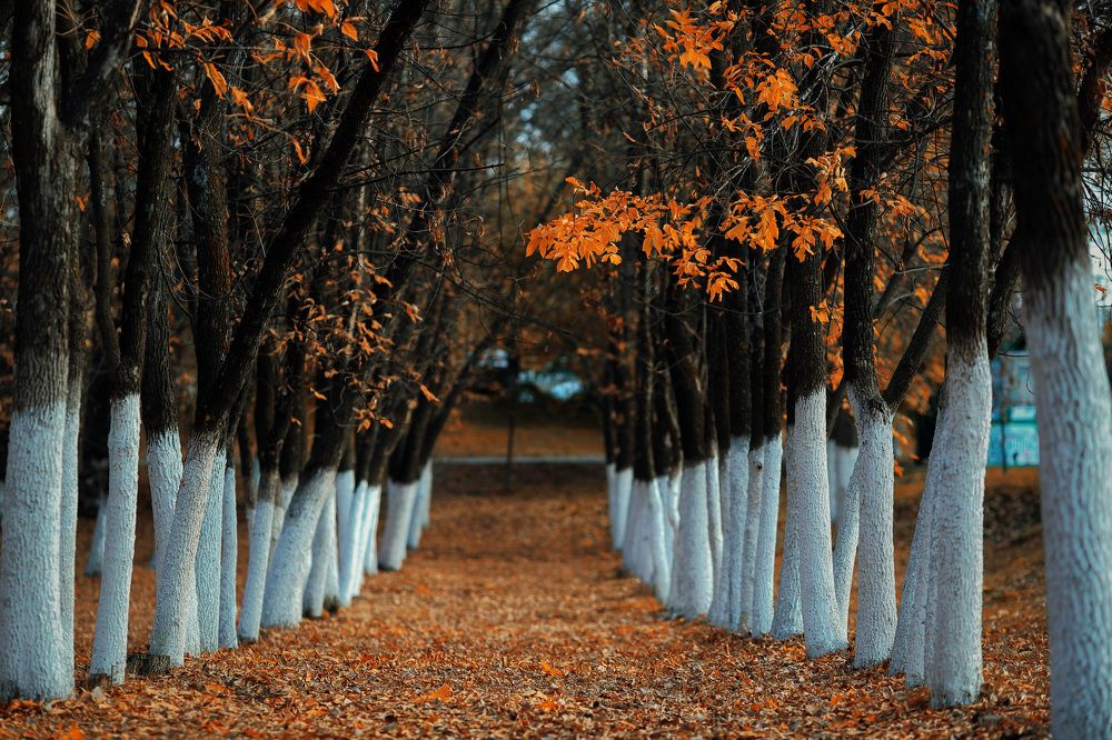 Photograph by Мурат Кужахметов